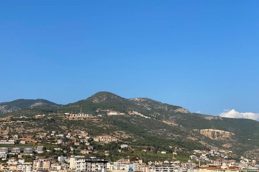1+1 New Cozy In The Center Of Alanya. Apartment