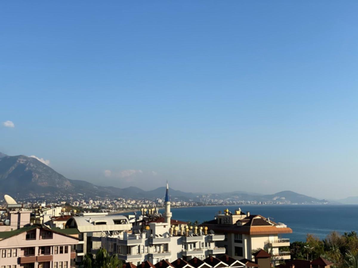 Apartment 1+1 New Cozy In The Center Of Alanya.
